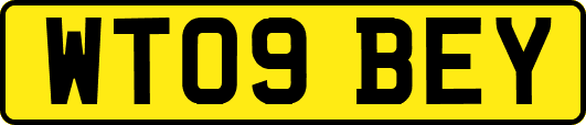 WT09BEY