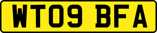 WT09BFA