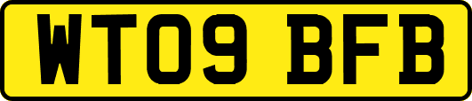 WT09BFB