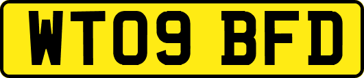 WT09BFD