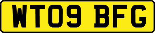 WT09BFG