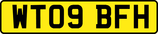 WT09BFH