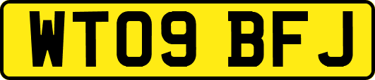 WT09BFJ