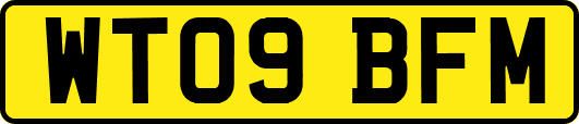 WT09BFM