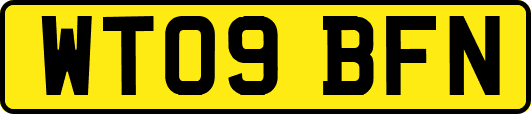 WT09BFN
