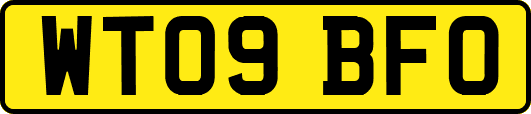 WT09BFO
