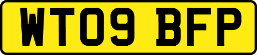 WT09BFP