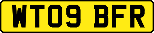 WT09BFR