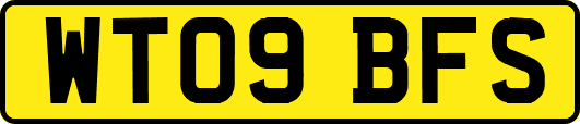 WT09BFS