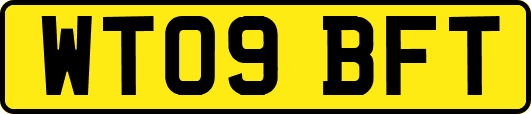 WT09BFT