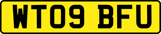 WT09BFU
