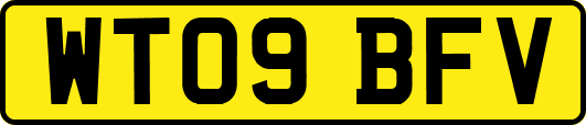 WT09BFV