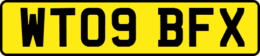 WT09BFX