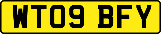 WT09BFY