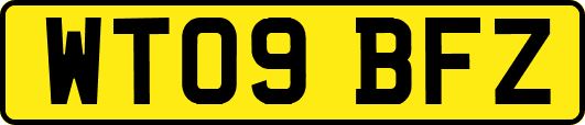 WT09BFZ