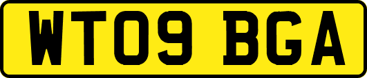 WT09BGA