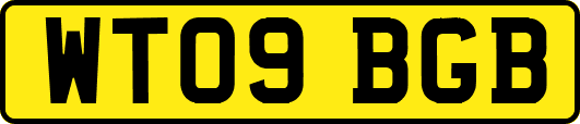 WT09BGB