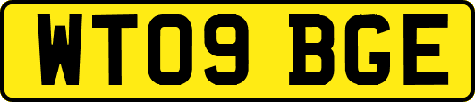WT09BGE