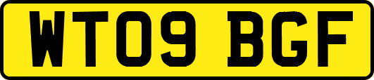 WT09BGF