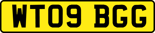 WT09BGG