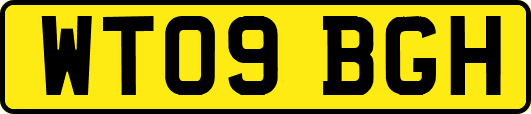 WT09BGH