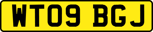 WT09BGJ