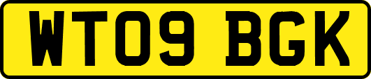 WT09BGK