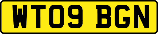 WT09BGN