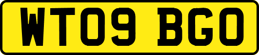 WT09BGO