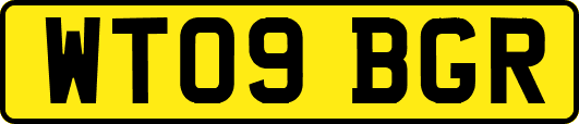 WT09BGR