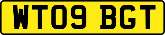 WT09BGT