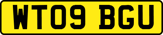 WT09BGU