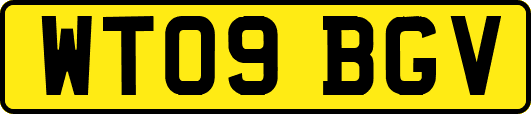 WT09BGV
