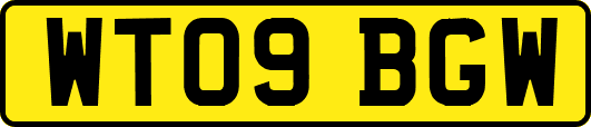 WT09BGW