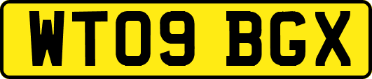 WT09BGX