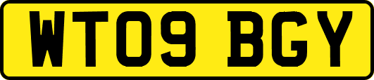 WT09BGY