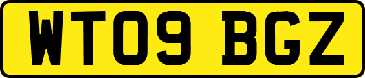 WT09BGZ