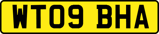 WT09BHA