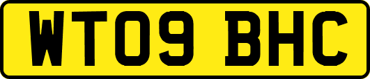 WT09BHC