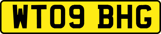 WT09BHG