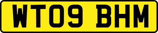 WT09BHM