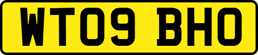 WT09BHO