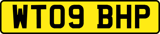 WT09BHP