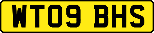 WT09BHS