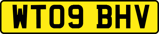 WT09BHV