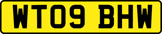 WT09BHW
