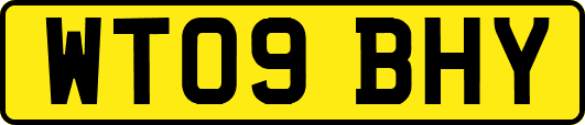 WT09BHY