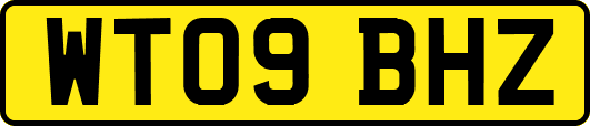 WT09BHZ