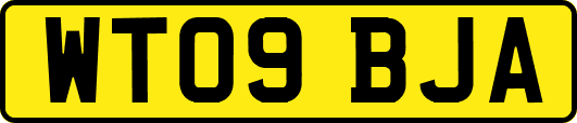 WT09BJA