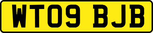 WT09BJB